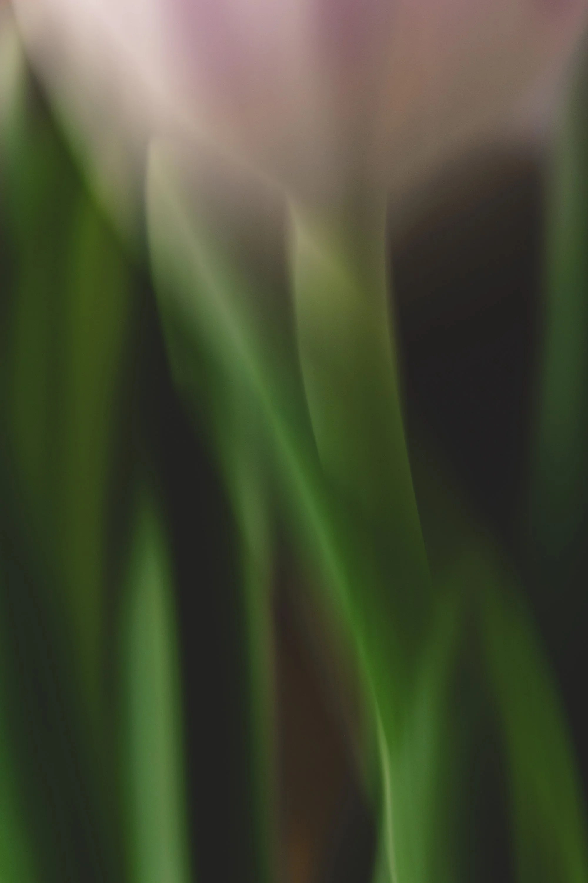 20260423-KU0A3379.jpg