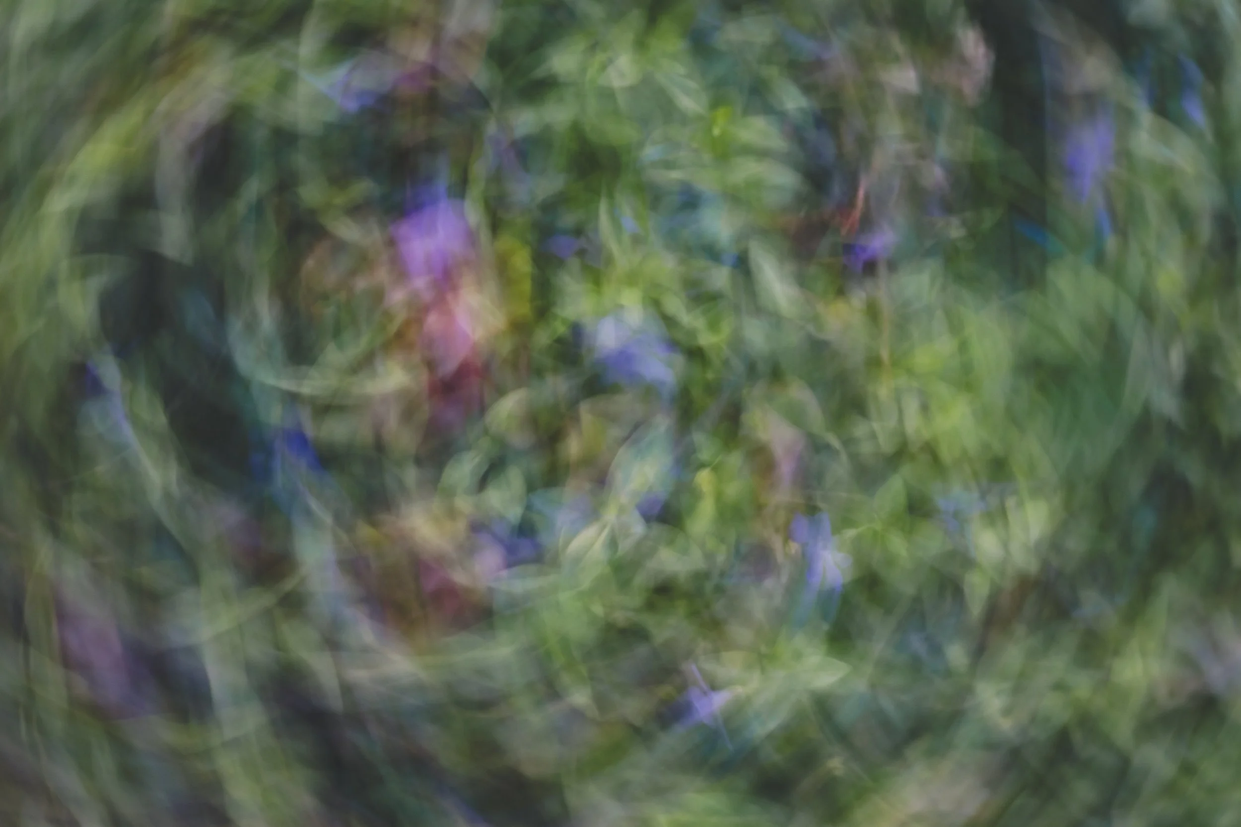 20260410-KU0A2880.jpg