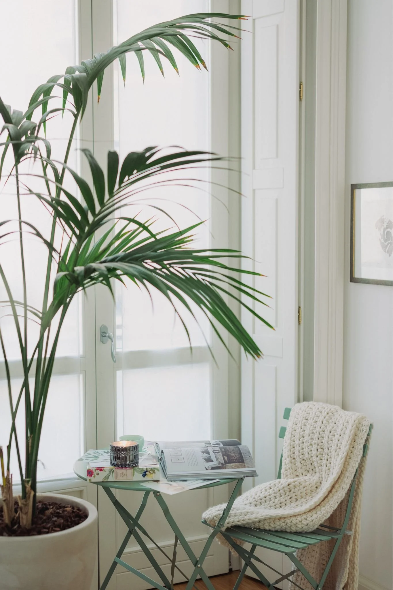 A cozy indoor corner featuring a small round table with decor items and open magazines, a chair with a chunky knit blanket, a large potted plant, and double doors in the background.