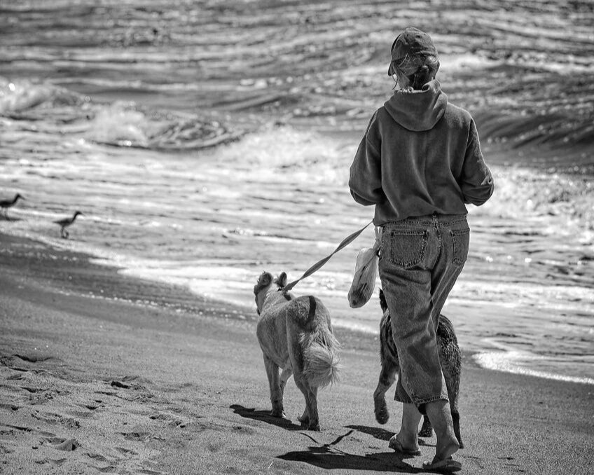 woman walking her dogs on the beach-mariachristiehypnotherapy