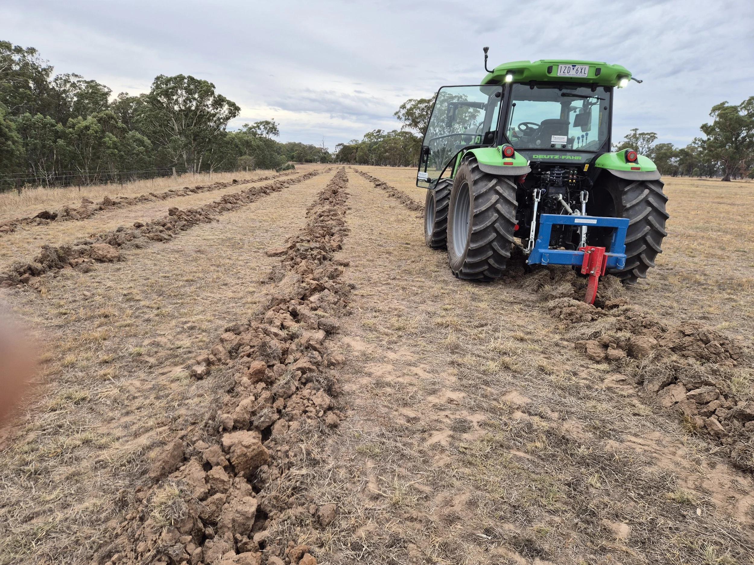 Tree Belt Awkward Rural Contracting  3.jpg