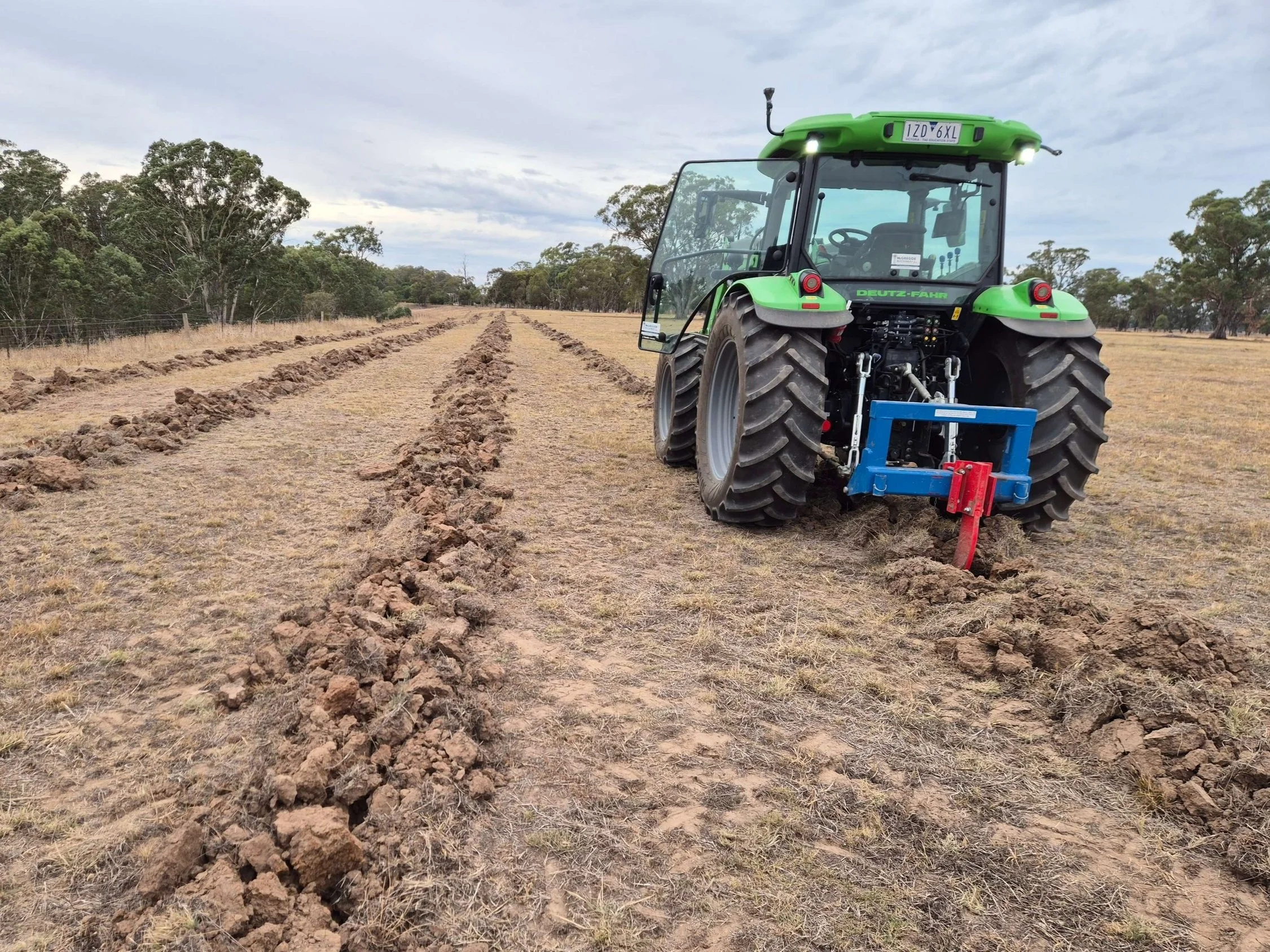 Tree Line double ripping Awkward Rural Contracting Fencing .jpg