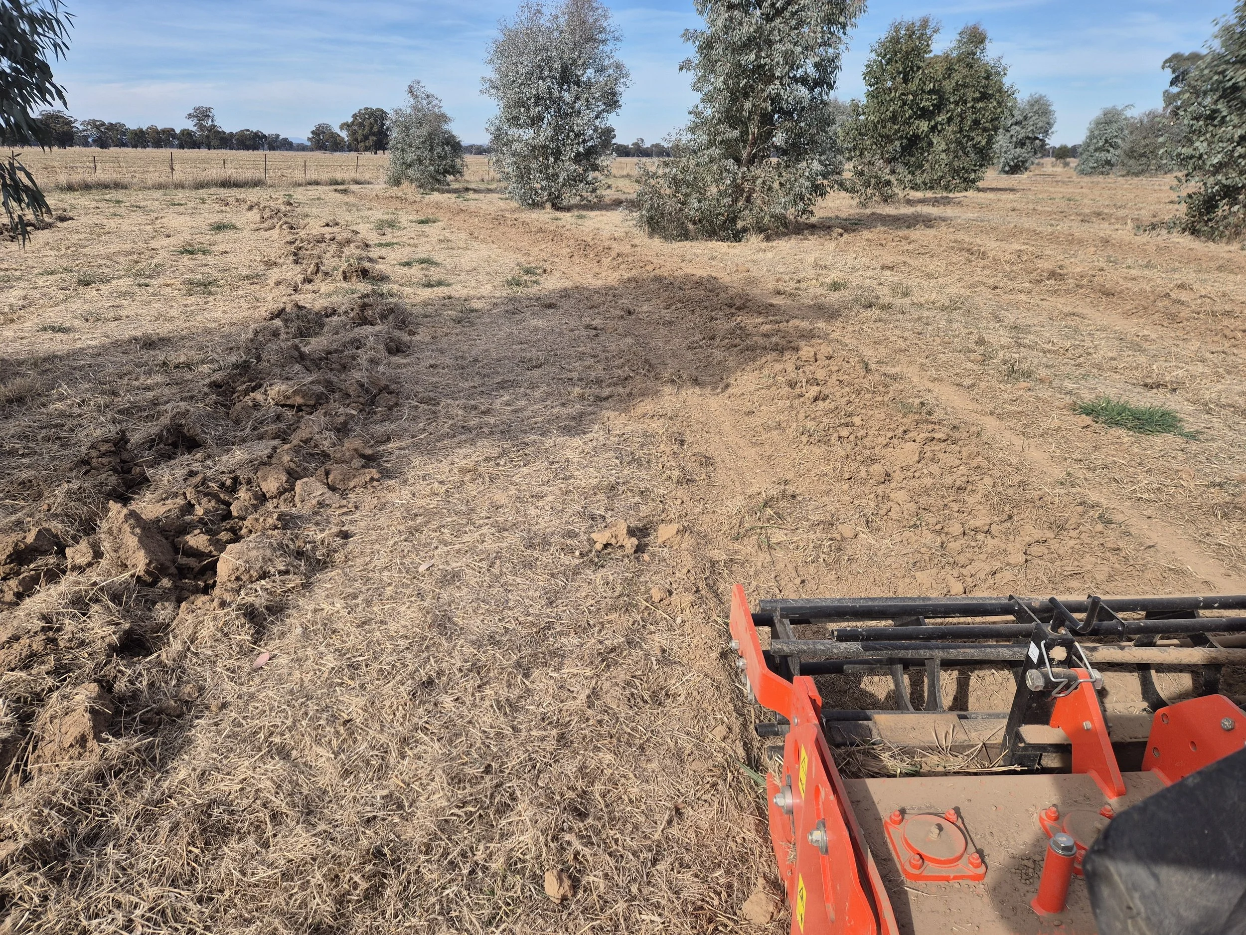 Tree belts – how to get great results