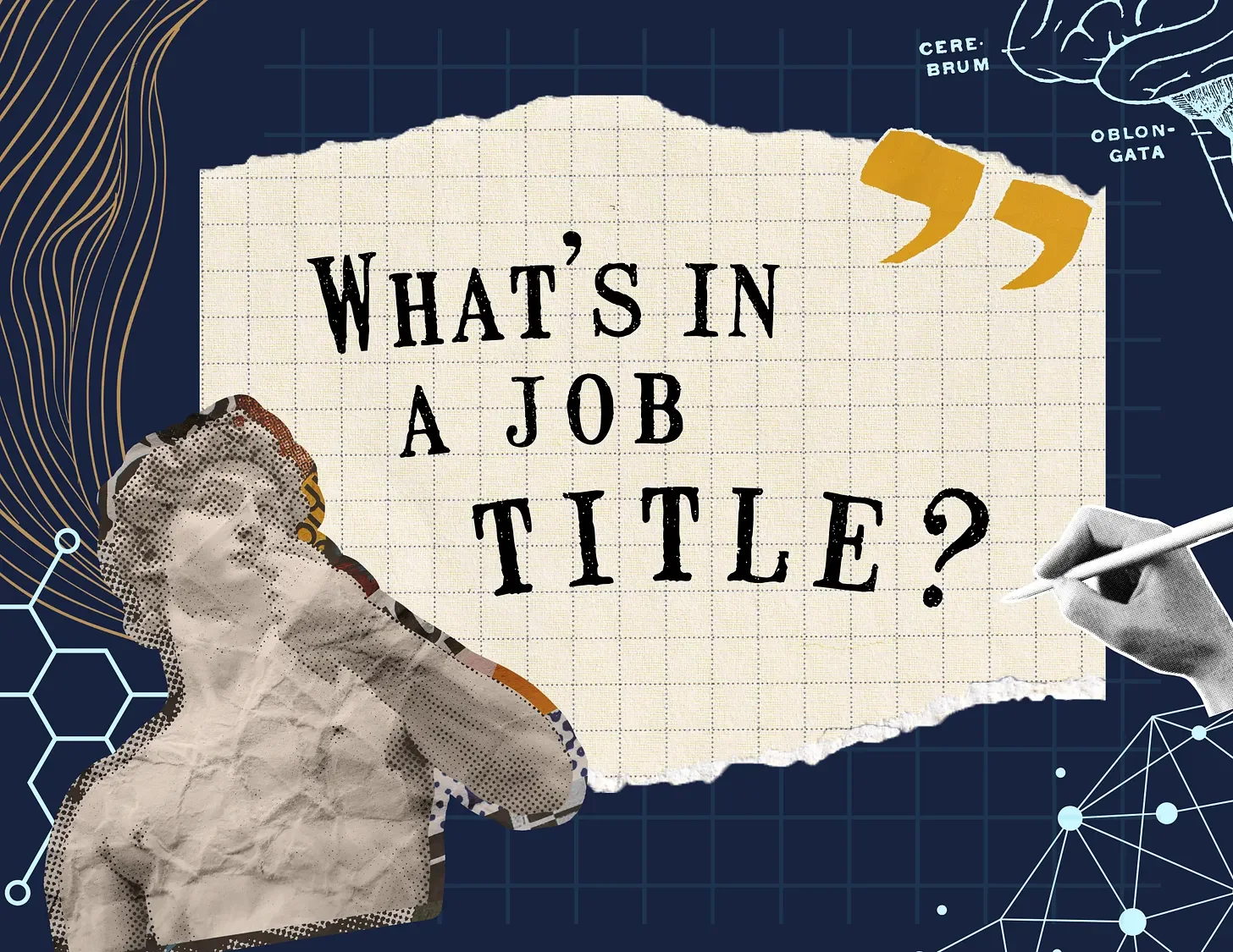 What's in a job title?