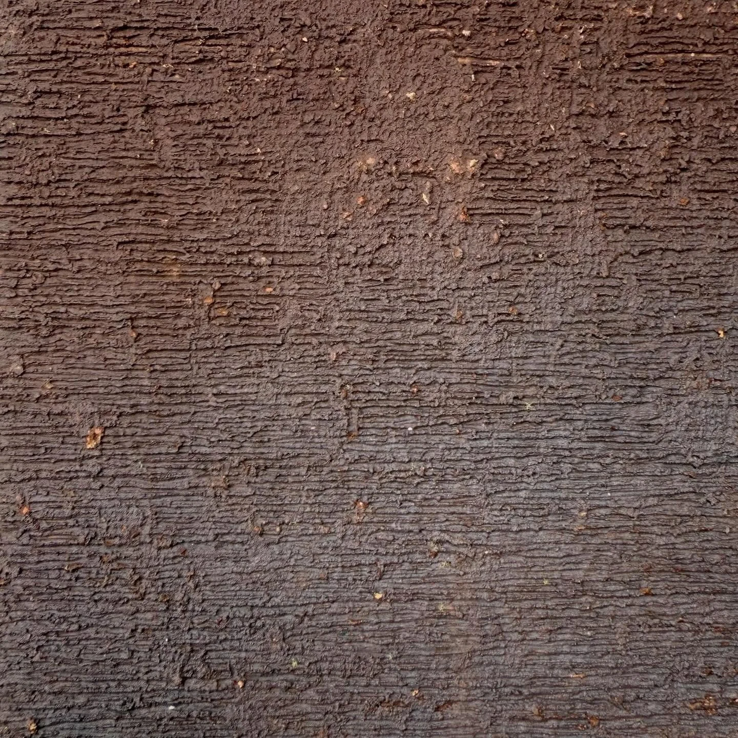 FORMA&trade; Oxide 

📍 Explore the full palette and request samples at formafacade.com/samples

#FORMAFacade #Oxide #ArchitecturalDesign #BuildingEnvelope #ModernArchitecture #NonCombustible #BrickFacade #FacadeDesign #ArchitectureMaterials #FormaSa