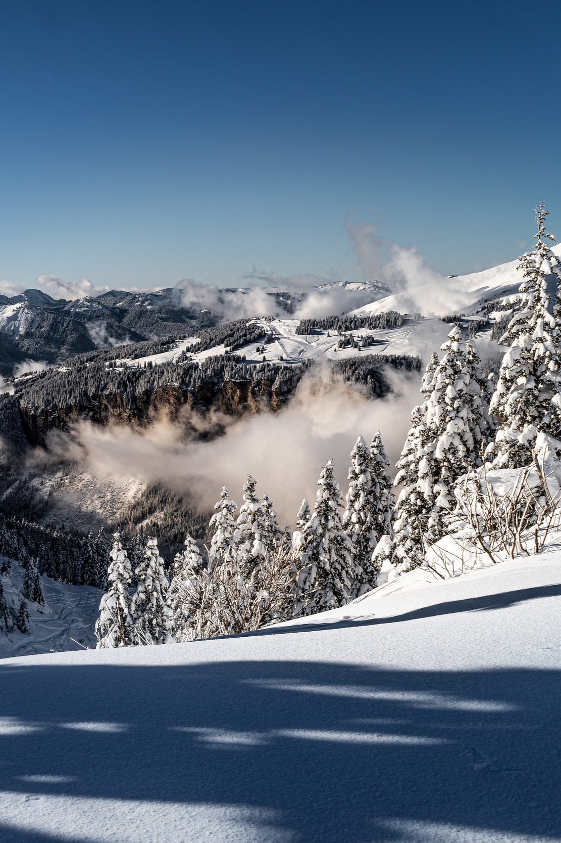 portes+du+soleil+%286%29-NEF.jpg