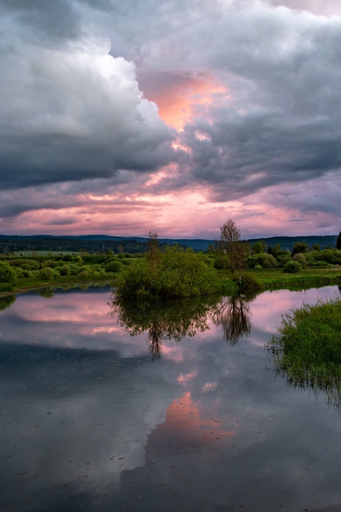 Reflets rosés