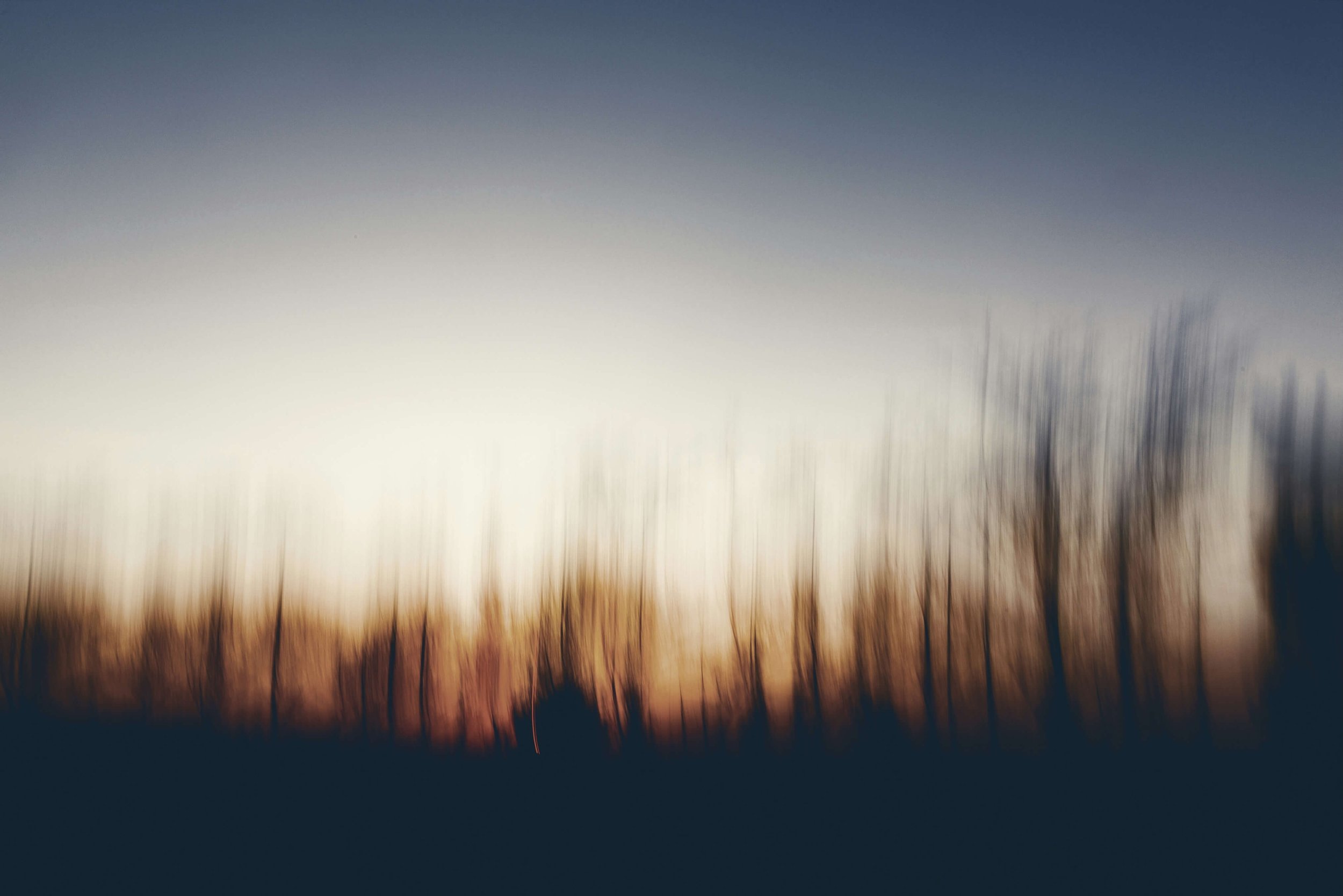 Blurred tree line at sunset.