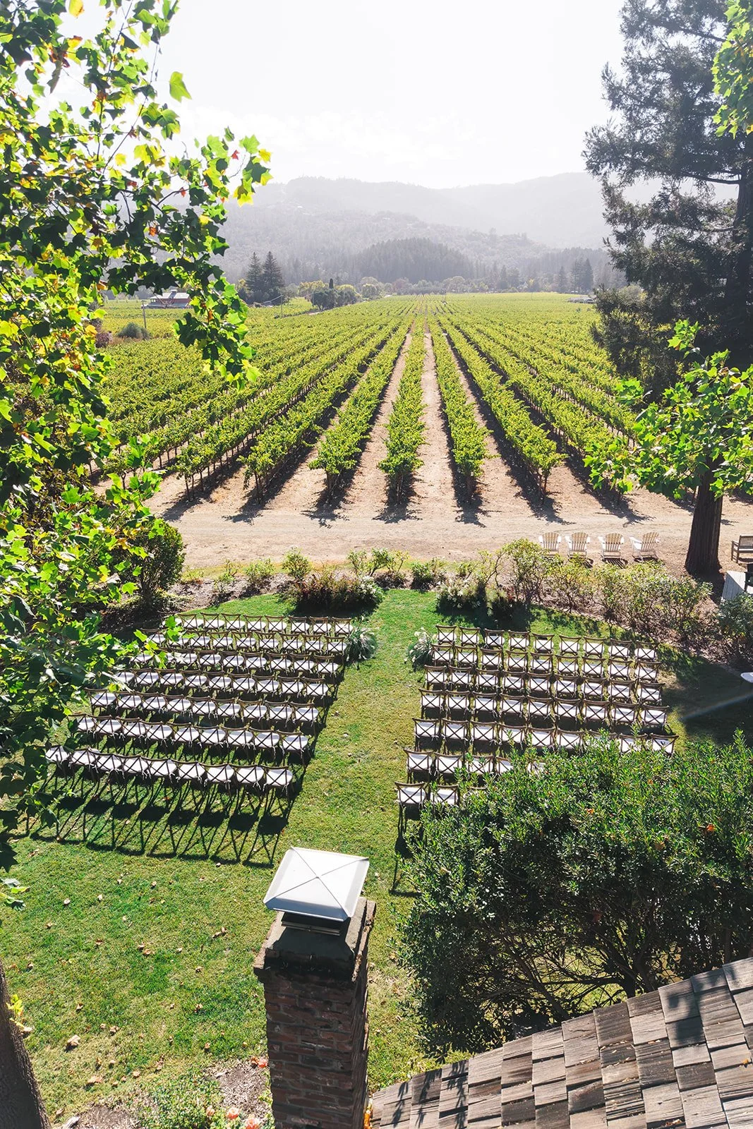 Outdoor wedding ceremony setup with rows of chairs beside a vineyard, framed by trees and backed by forested hills.