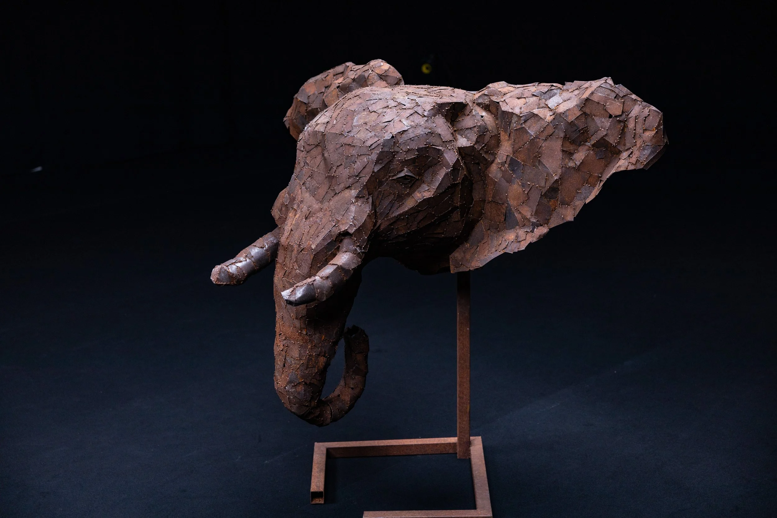 olifant-5.jpg