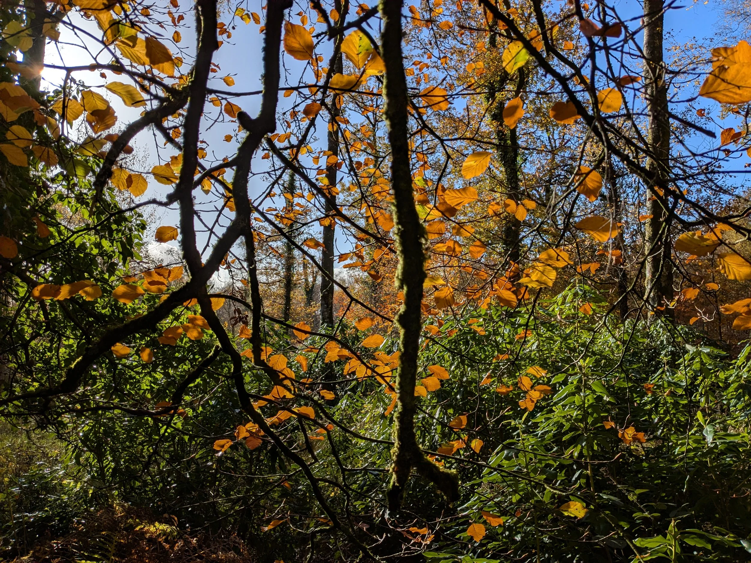 Time for a change of scene!