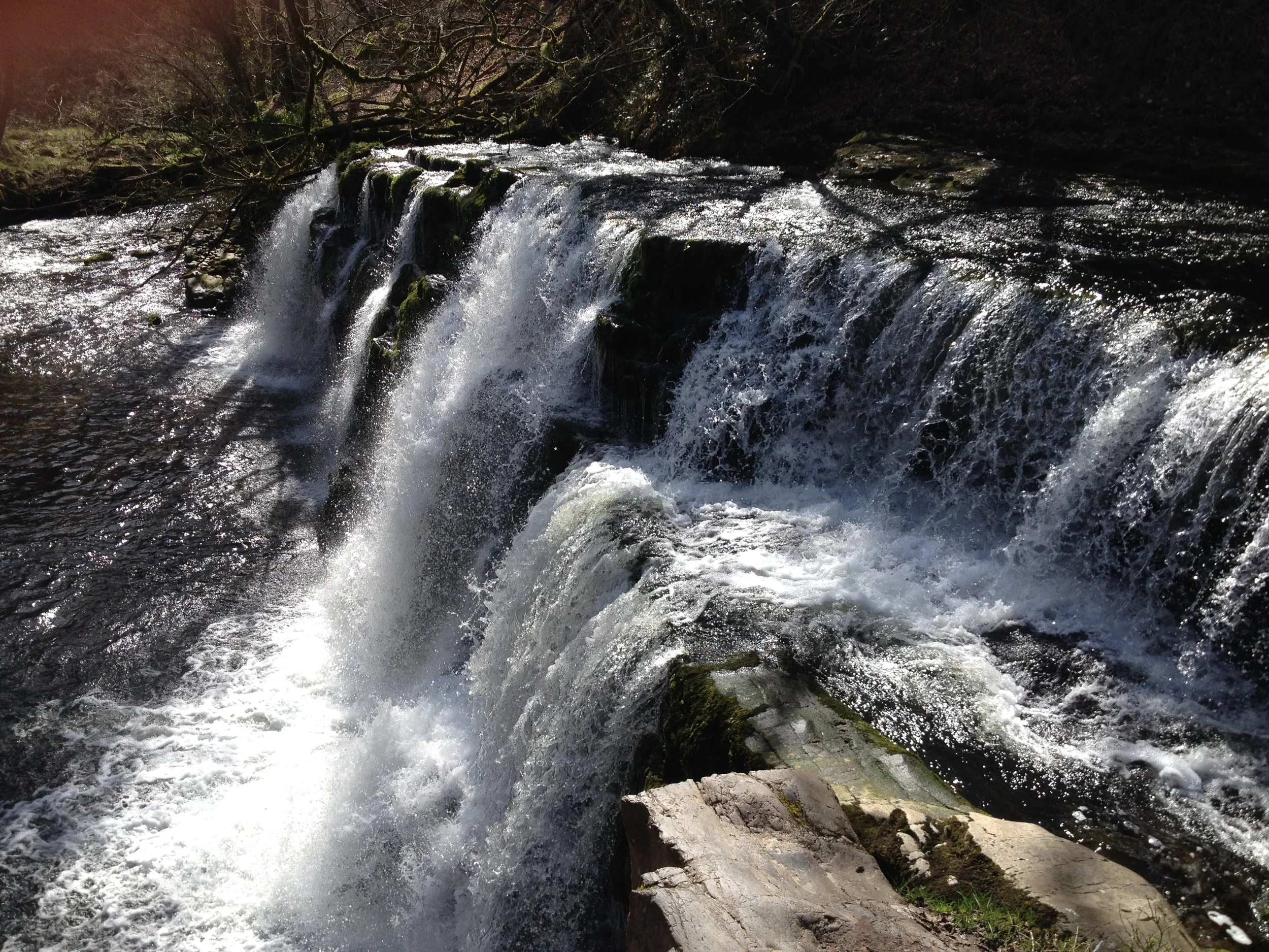 Two new 6-week Beginner courses starting in mid February!