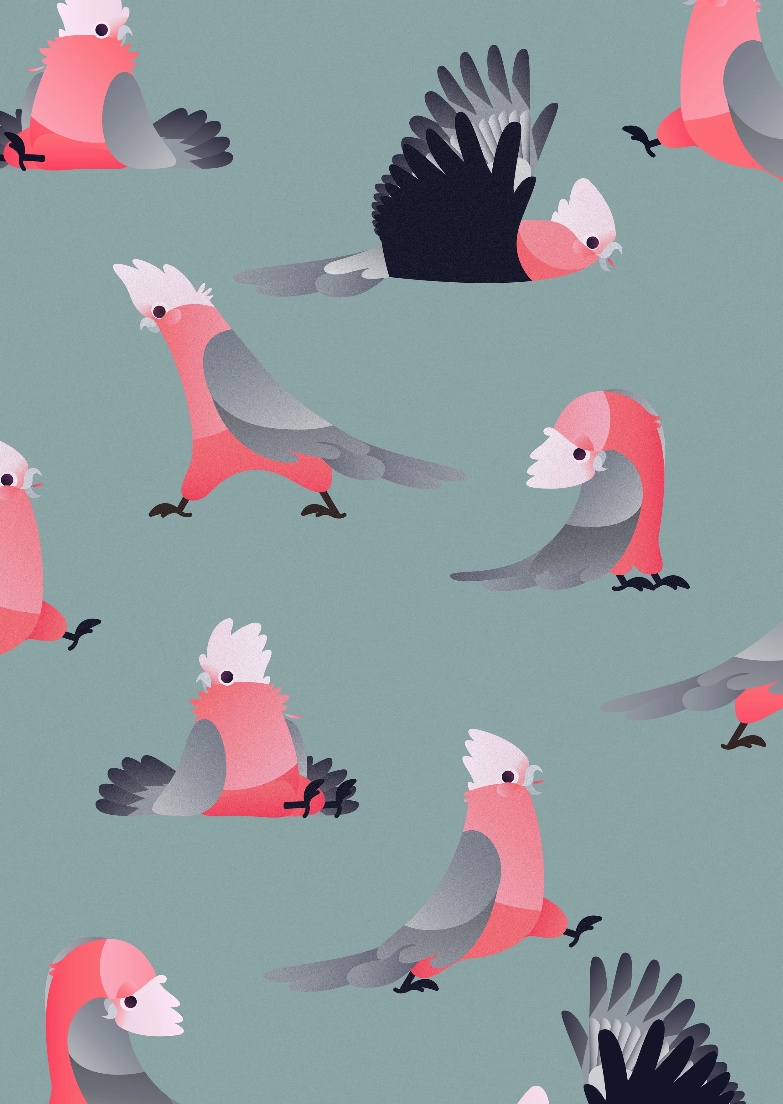 hd_parrot.jpg