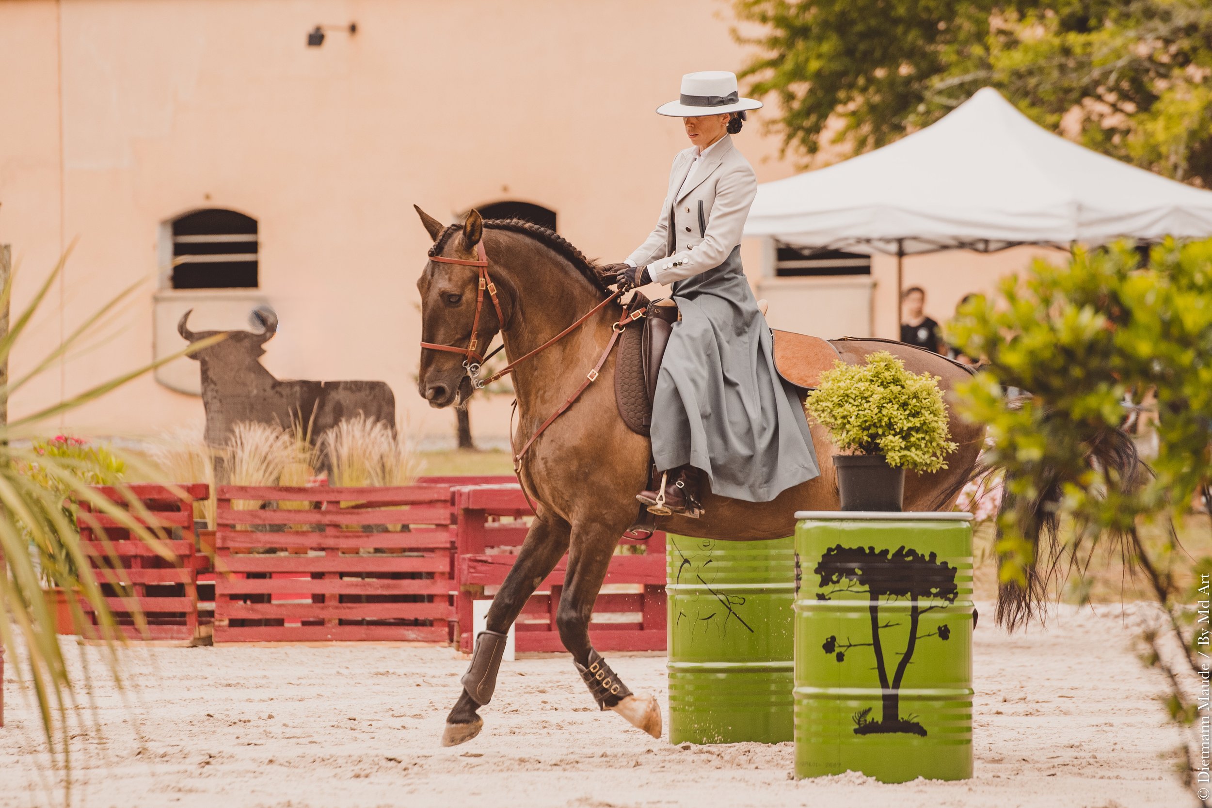 What is Working Equitation?
