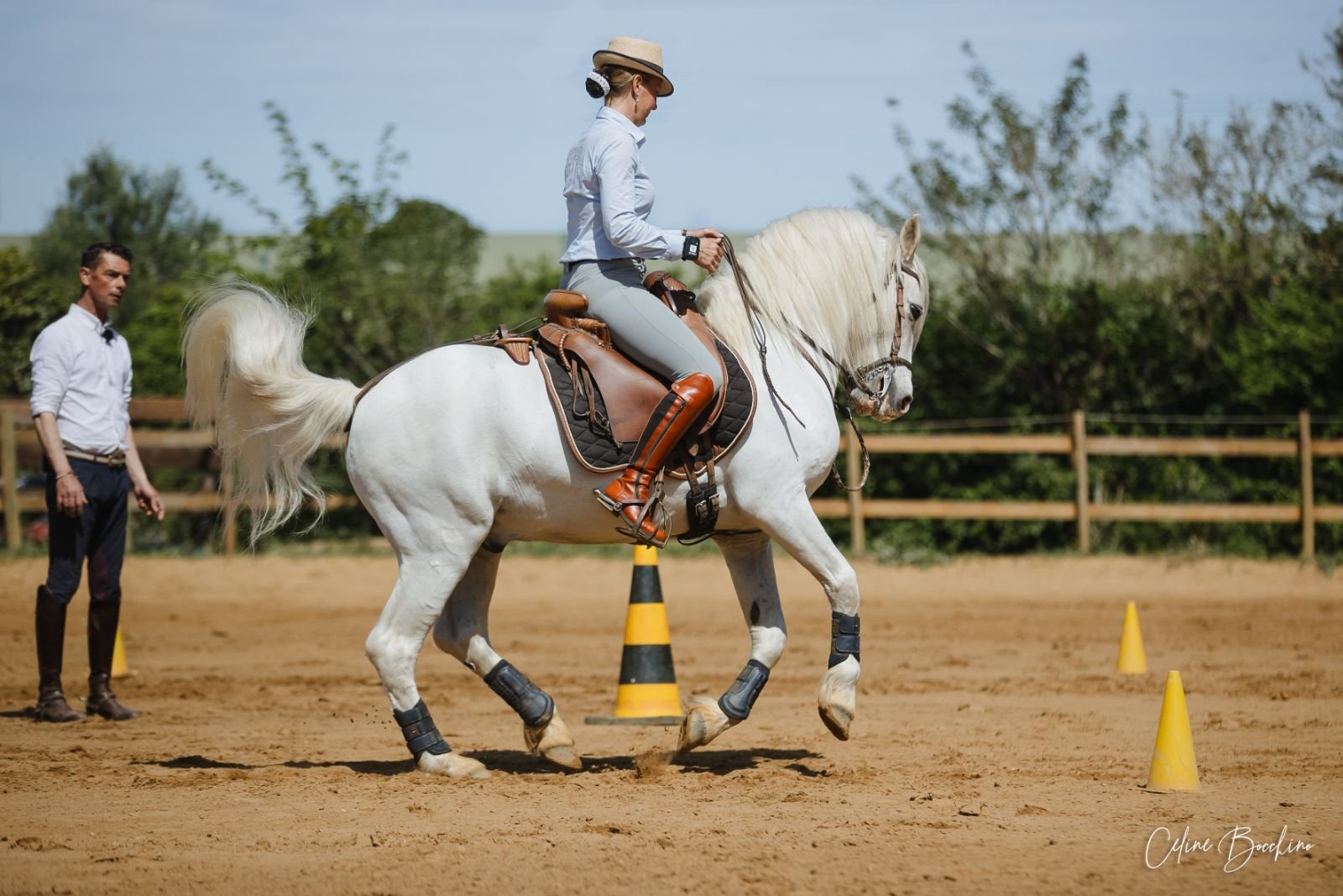 Picking the perfect horse for Working Equitation
