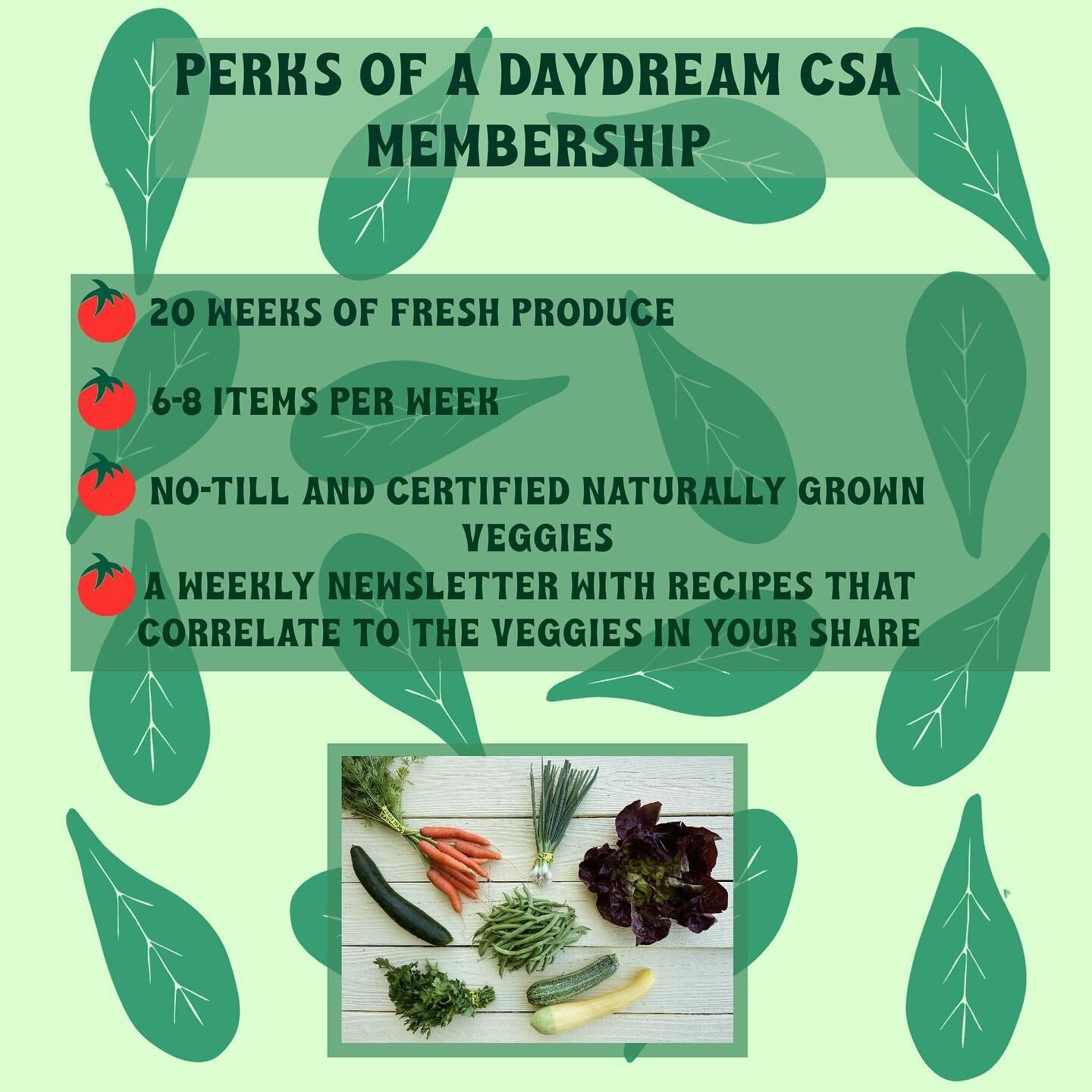 Today for #csaweek we are sharing what you get when you sign up for a Daydream Farm CSA! Our favorite perk is getting to know each and every one of you! We look forward to seeing you every Wednesday @wanderbrewing  June-October 🍻🥕🥬🥒

#smallfarm #