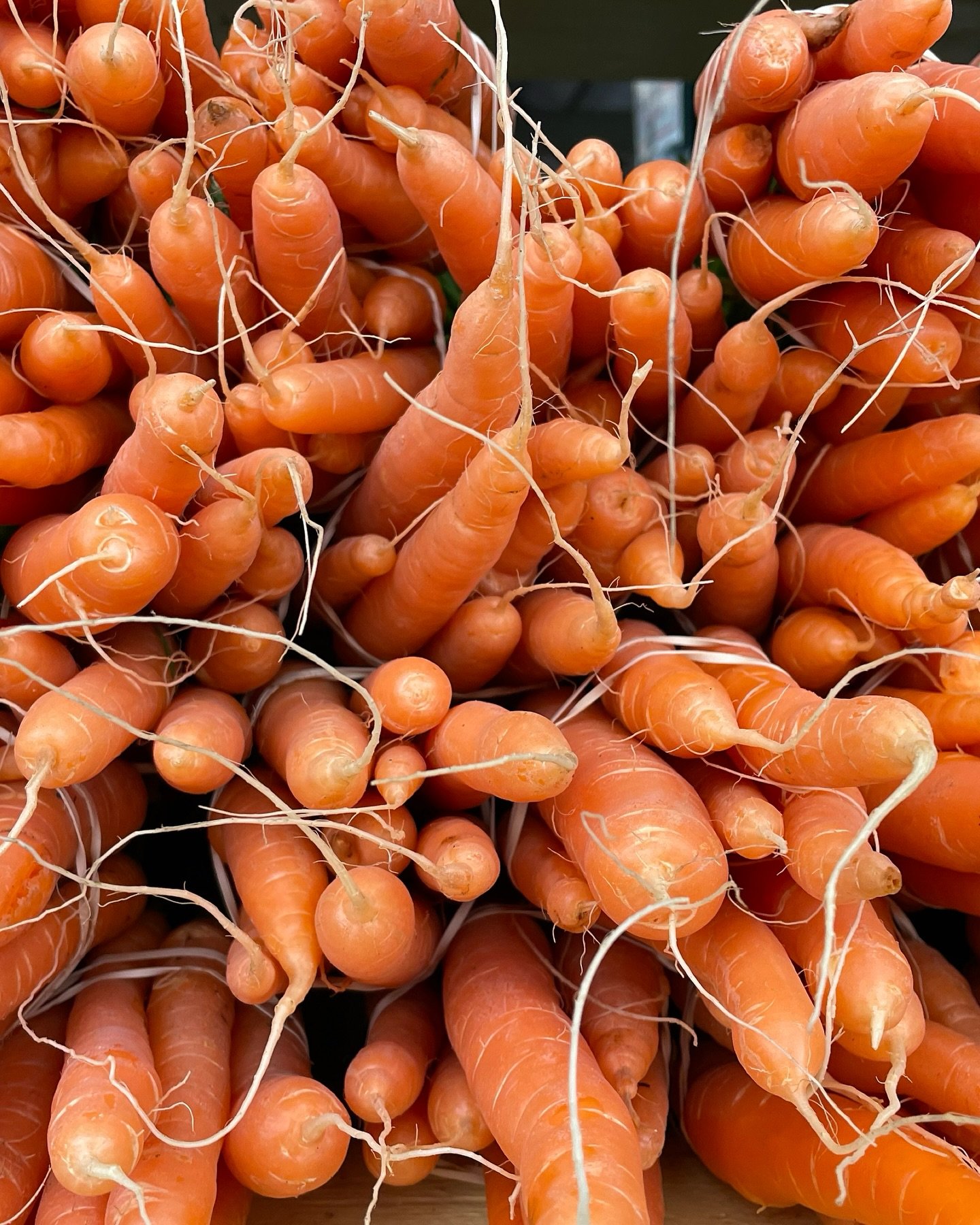 Let the secret ingredient be &lsquo;local produce&rsquo; in your recipes this holiday season! 

*Find us at the @bhamfarmersmkt tomorrow 10-2 and stock up for the festivities 🦃🥧🍠🥬