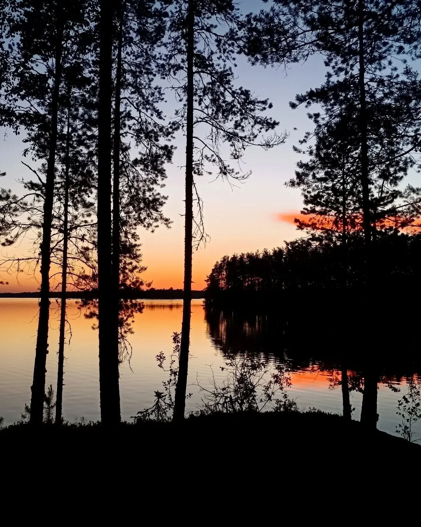 Midsummer, sauna and silent countryside. Pure bliss.

🦟🦟🦟