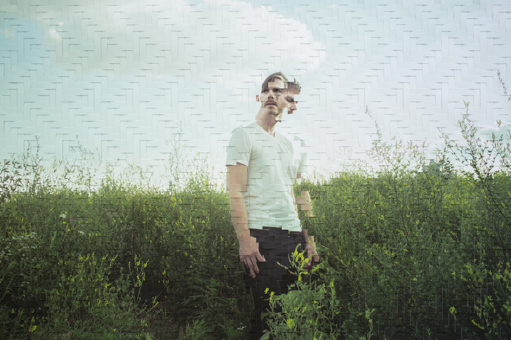 Wayward_0001.jpg