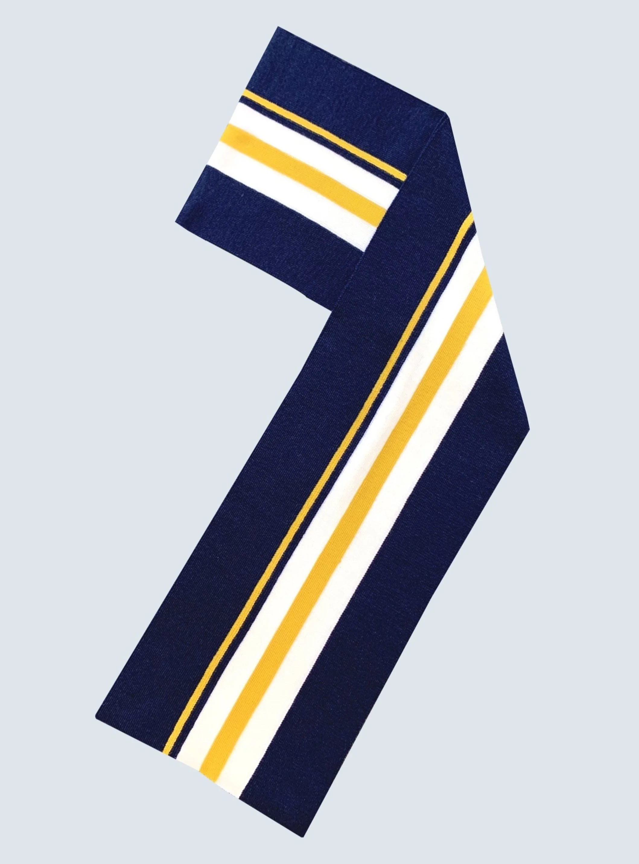 University of Michigan Scarf