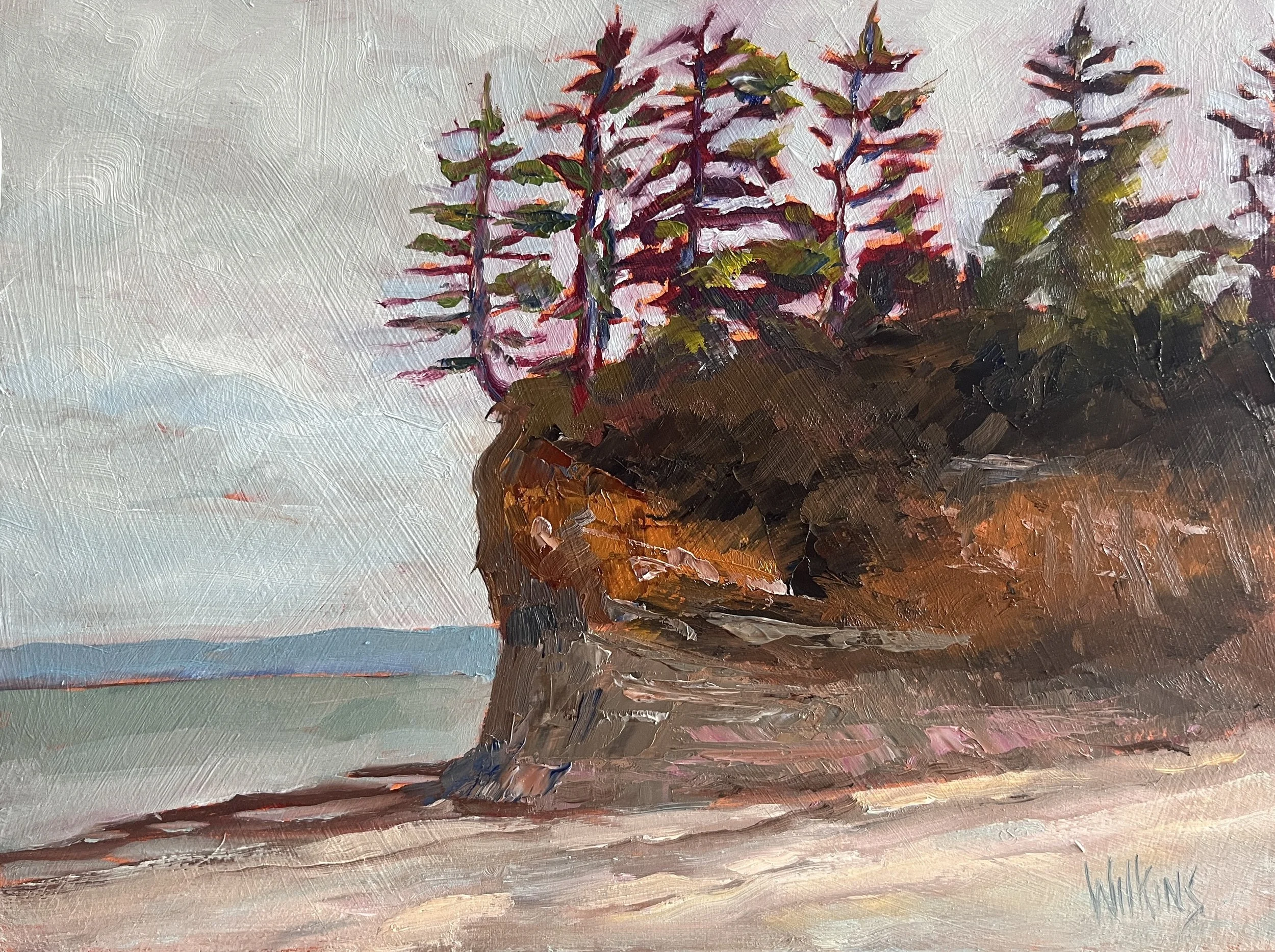 "Fundy Shore", 9x12" Oil on Birch, $300 UF