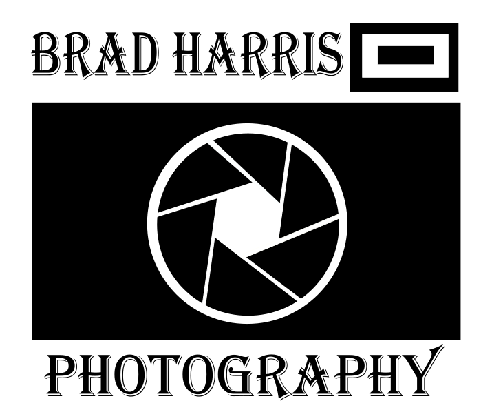 Brad Harris Photos