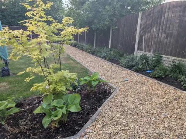 Gravel pathway and planting landscaped by Goodwin Gardens in Alsager