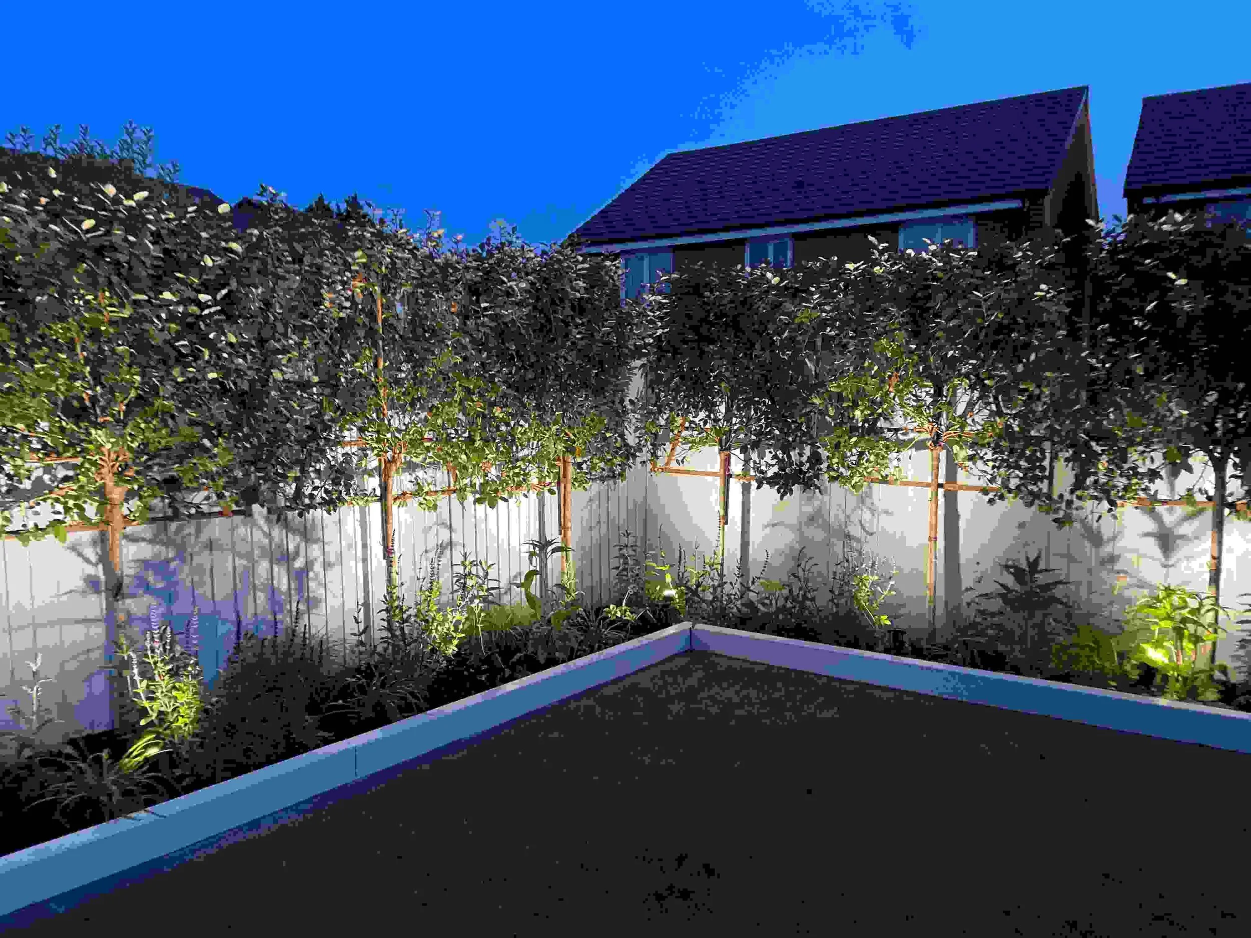 BALLARD+LIGHTS+COMPRESS+%282%29.jpg
