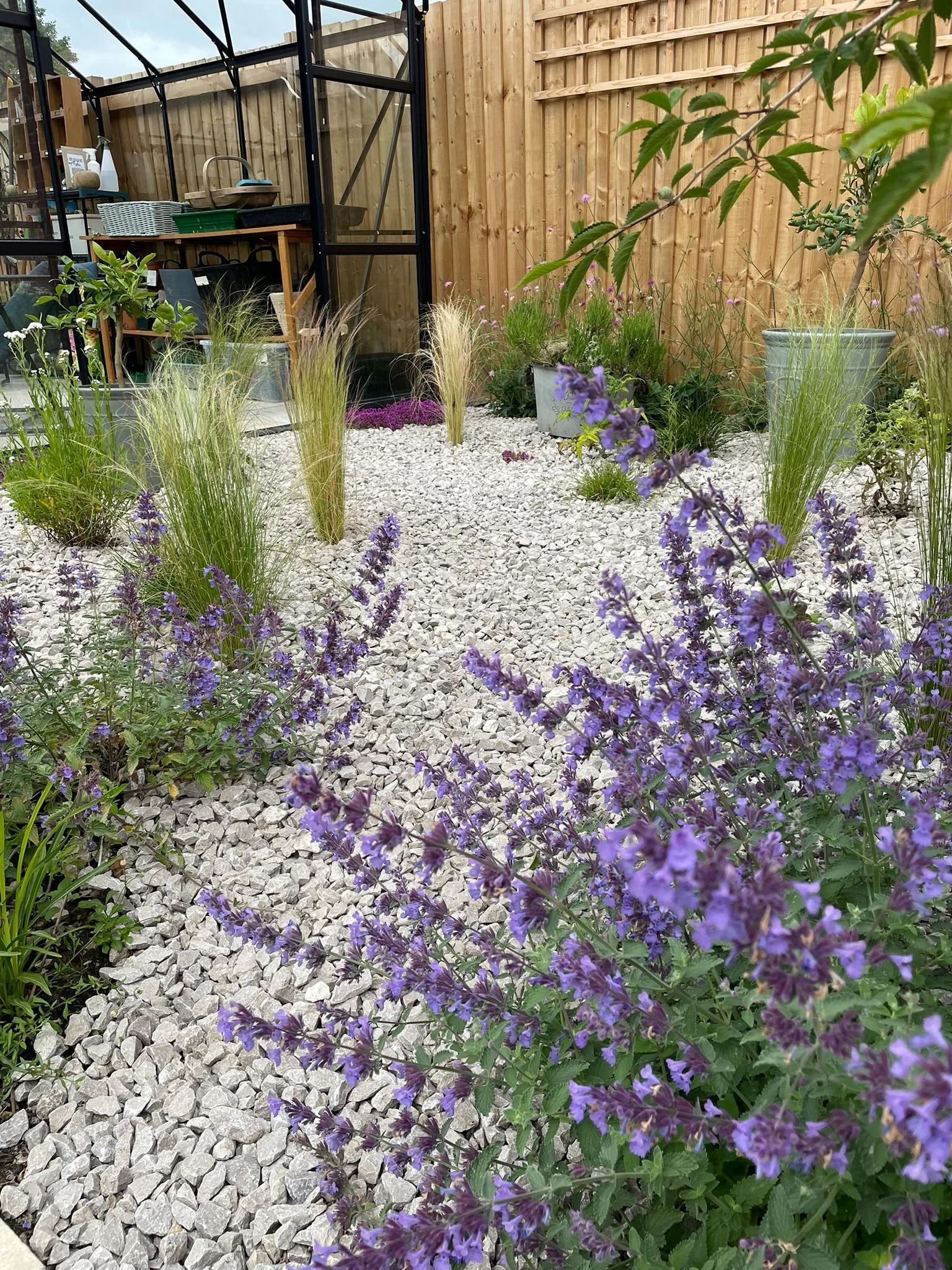 Plants within Softer Landscapes