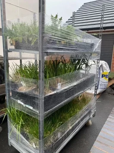 Quality plants delivered for Goodwin Gardens Ltd