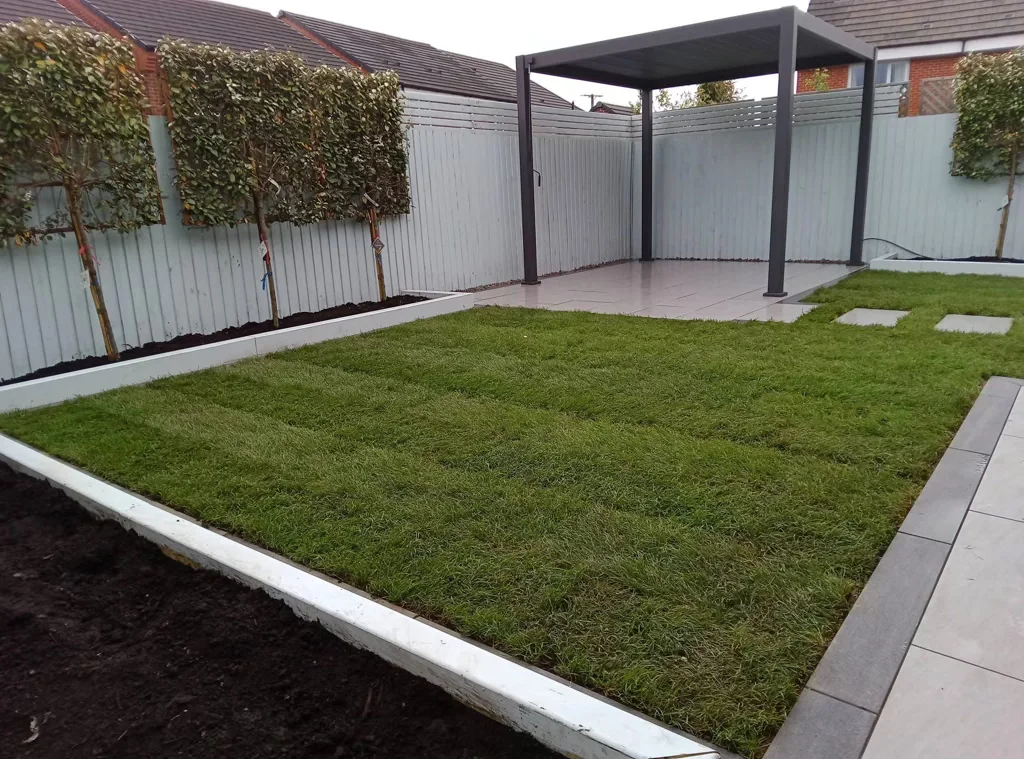 Freshly landscaped garden with preached trees, new lawn, porcelain patio and pergola in Moston, Sandbach