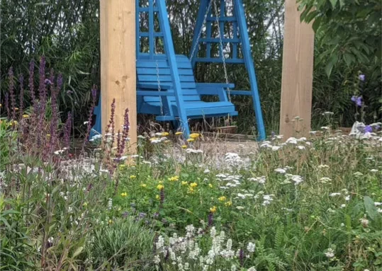 Wildflower meadow turf thriving shortly after installation by Goodwin Gardens Ltd