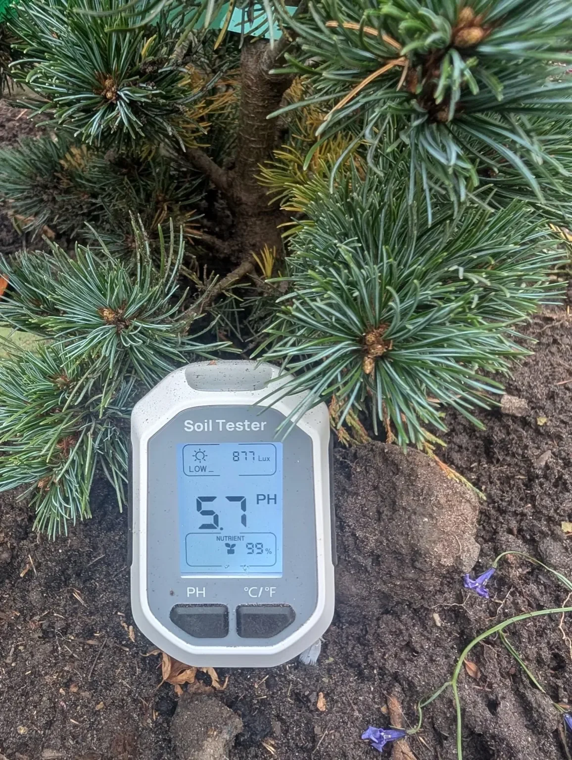 Soil testing for quality control following planting in Miles Green