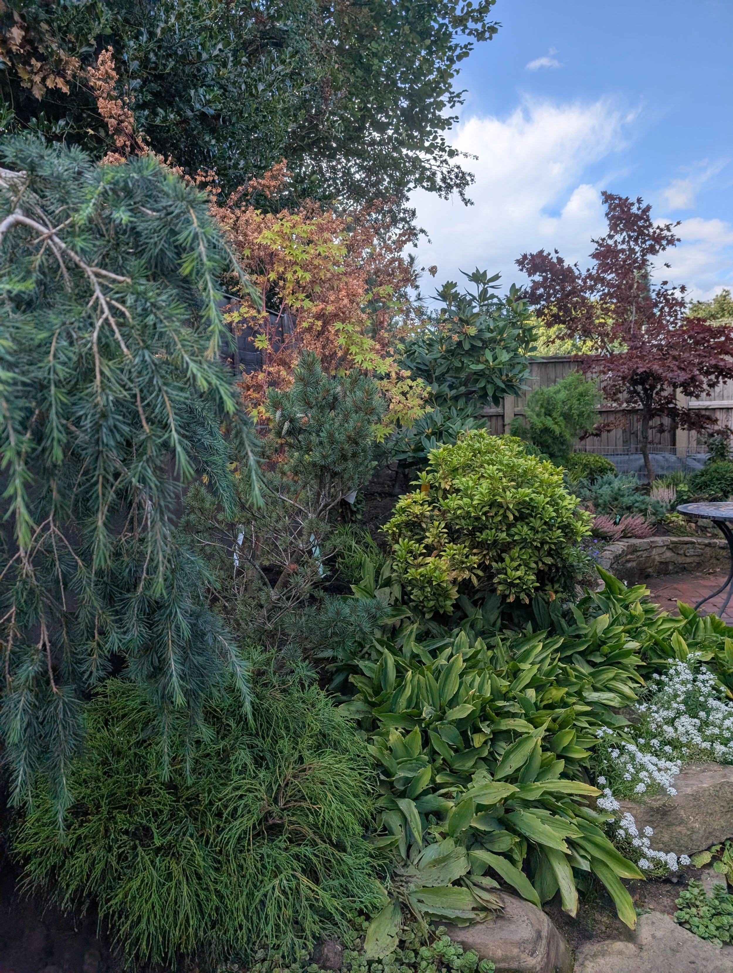 Japanese planting scheme designed and installed in Halmer End, Newcastle-under-Lyme
