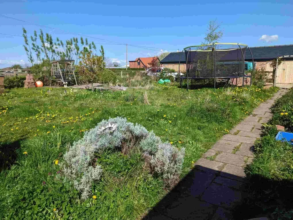 Before landscaping a children’s sensory garden near Nantwich