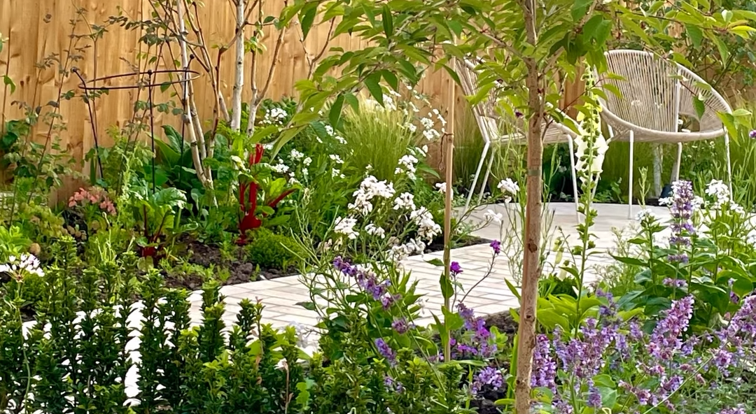 Cottage garden planting scheme and Egyptian limestone paving installation near Nantwich
