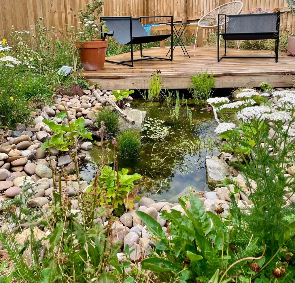 Natural pond with deck, surrounded by wildflower meadow within a full garden landscaping project in Shavington