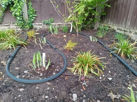 Garden irrigation pipes installed in Alsager with planting