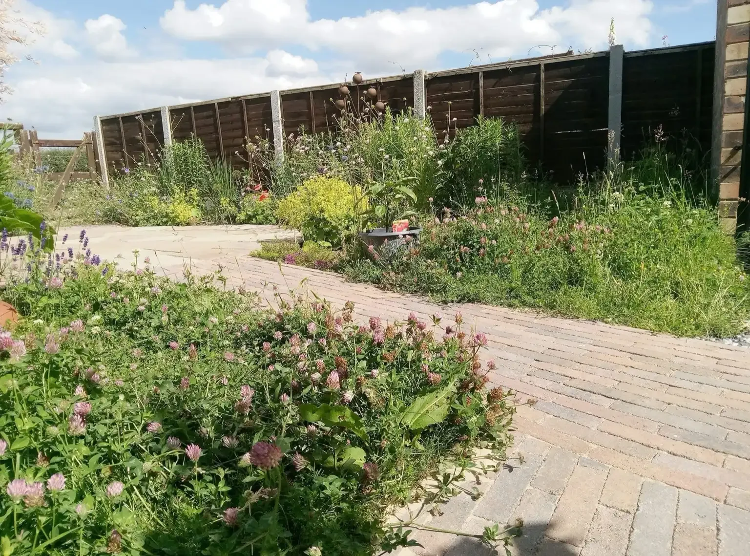 Natural stone pavers installed as a pathway within a cottage garden design in Haslington, Crewe.