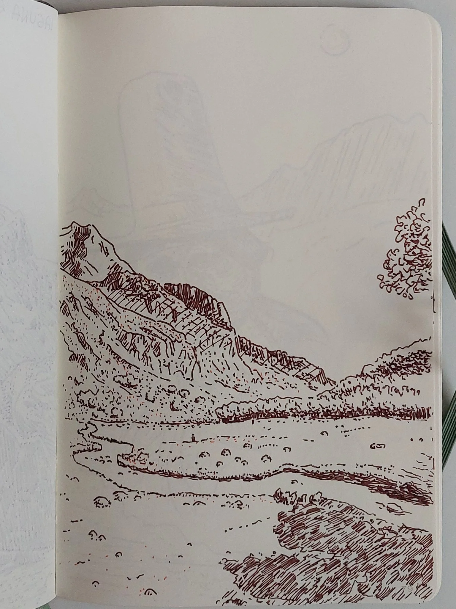 Road to Laguna 69 - Sketch