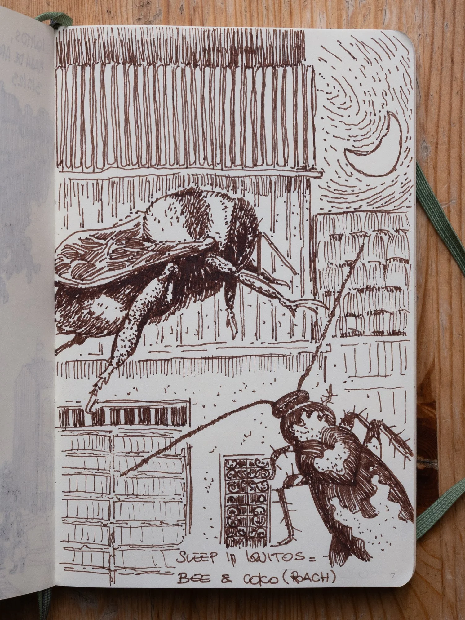 Iquitos: the first night