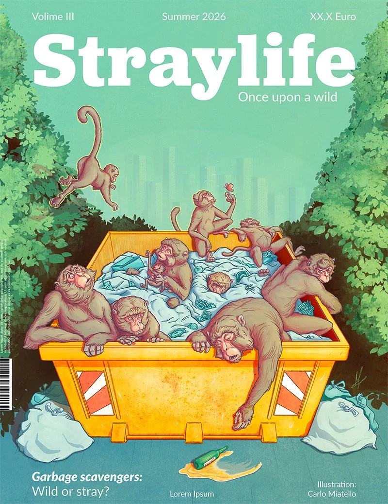 Straylife
