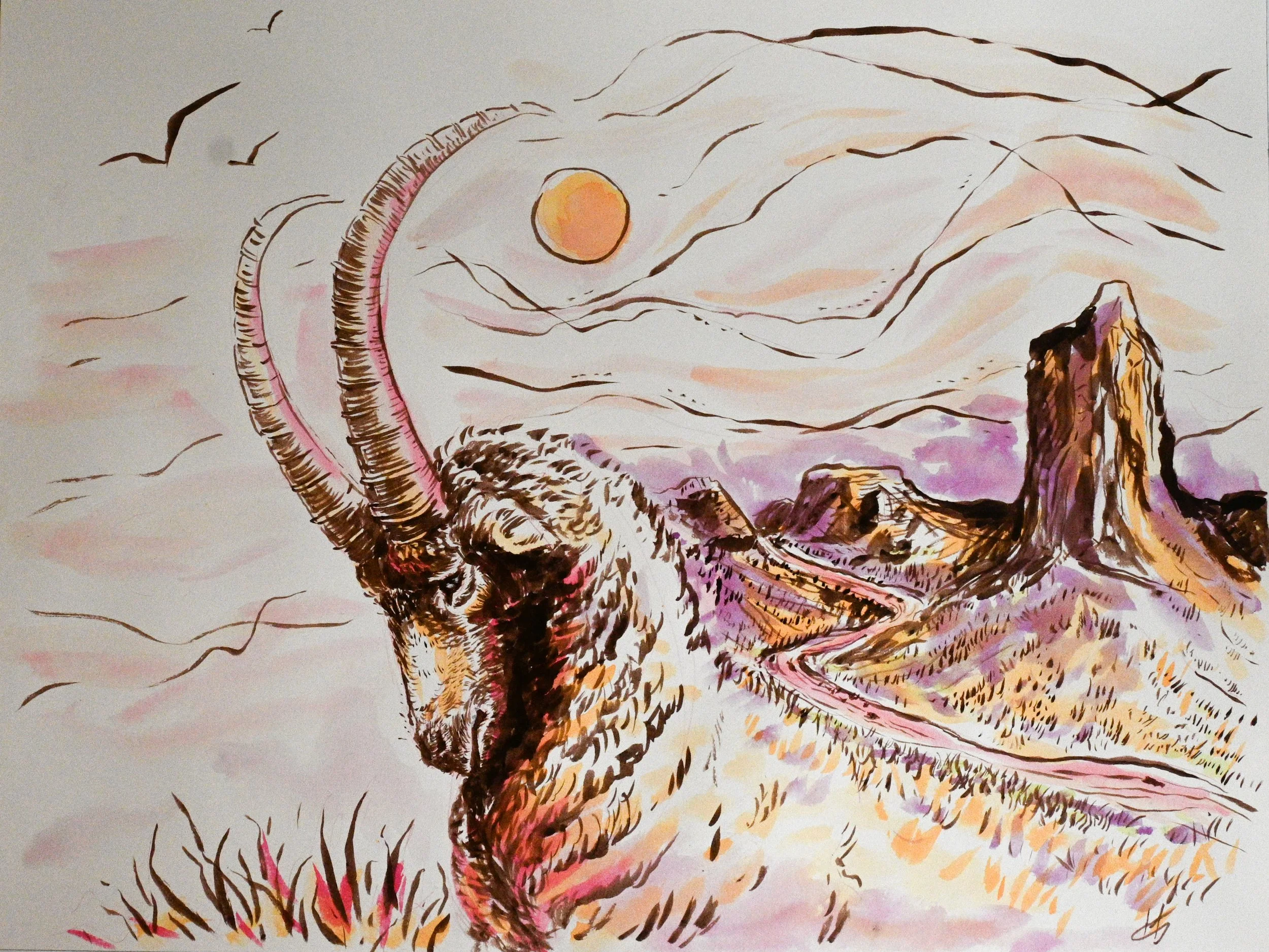 Ibex & Landscape - Ink and Watercolours