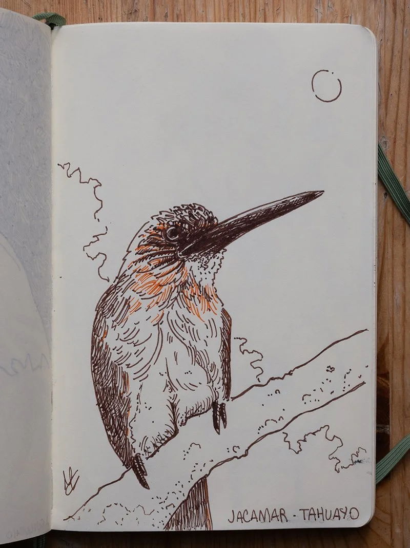 Selva Amazónica: Jamacar  
Illustrated Memoir