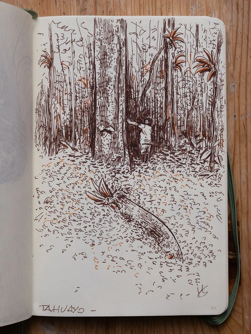 Selva Amazónica: Old Tree  
Illustrated Memoir