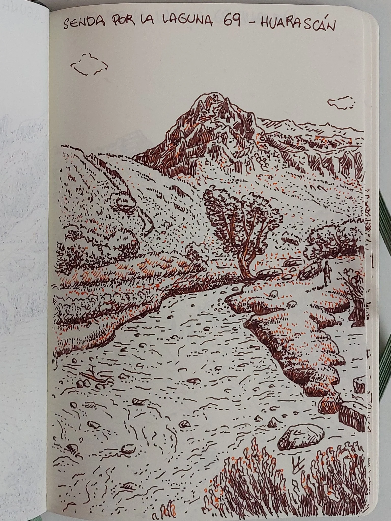 Road to Laguna 69 - Sketch