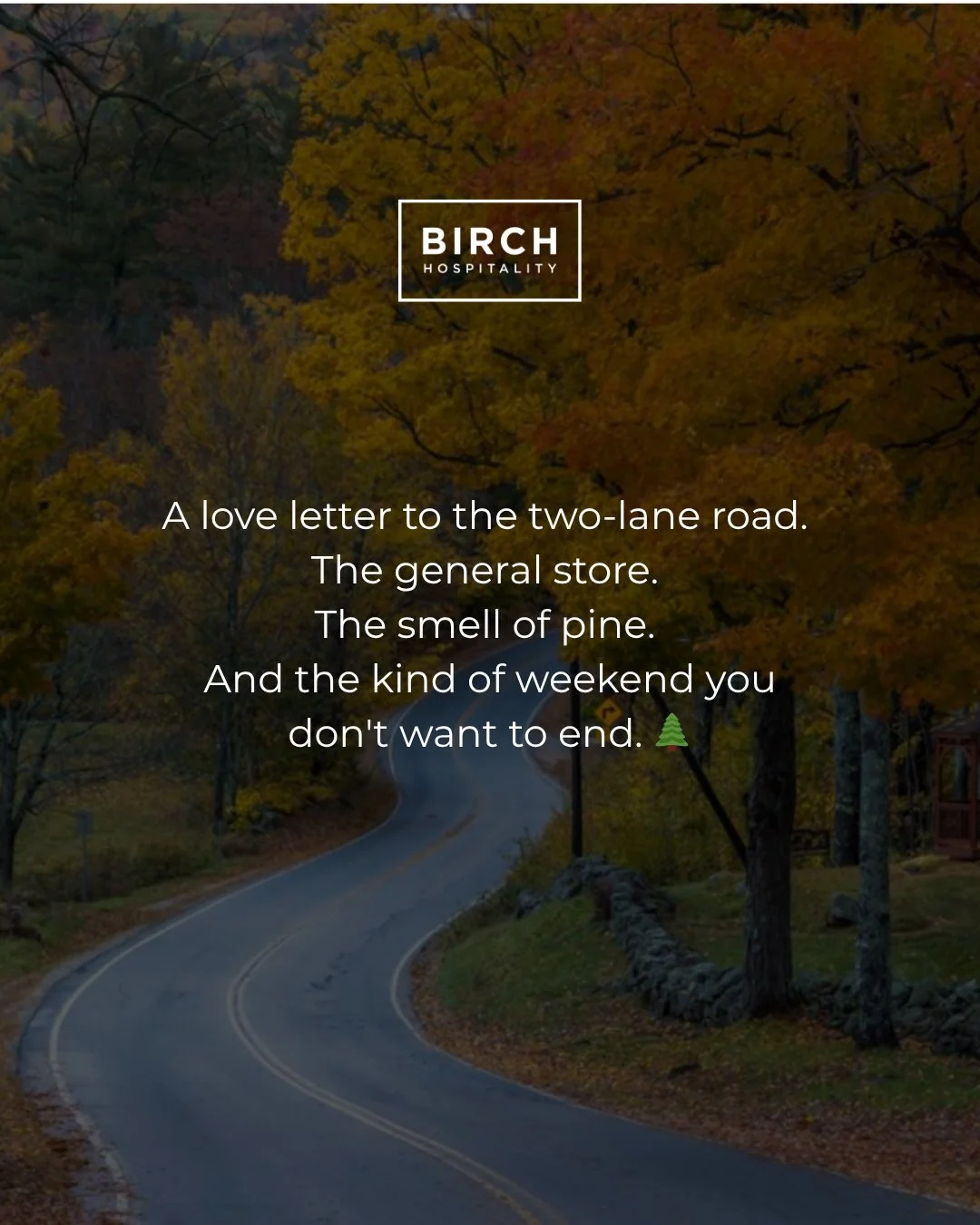 This one's for the New Englanders who don't need convincing. Who already know what it feels like to turn off the highway, lose the signal, and exhale. 🌲

The mountains have been here the whole time. We'll make sure the house is ready when you are.

