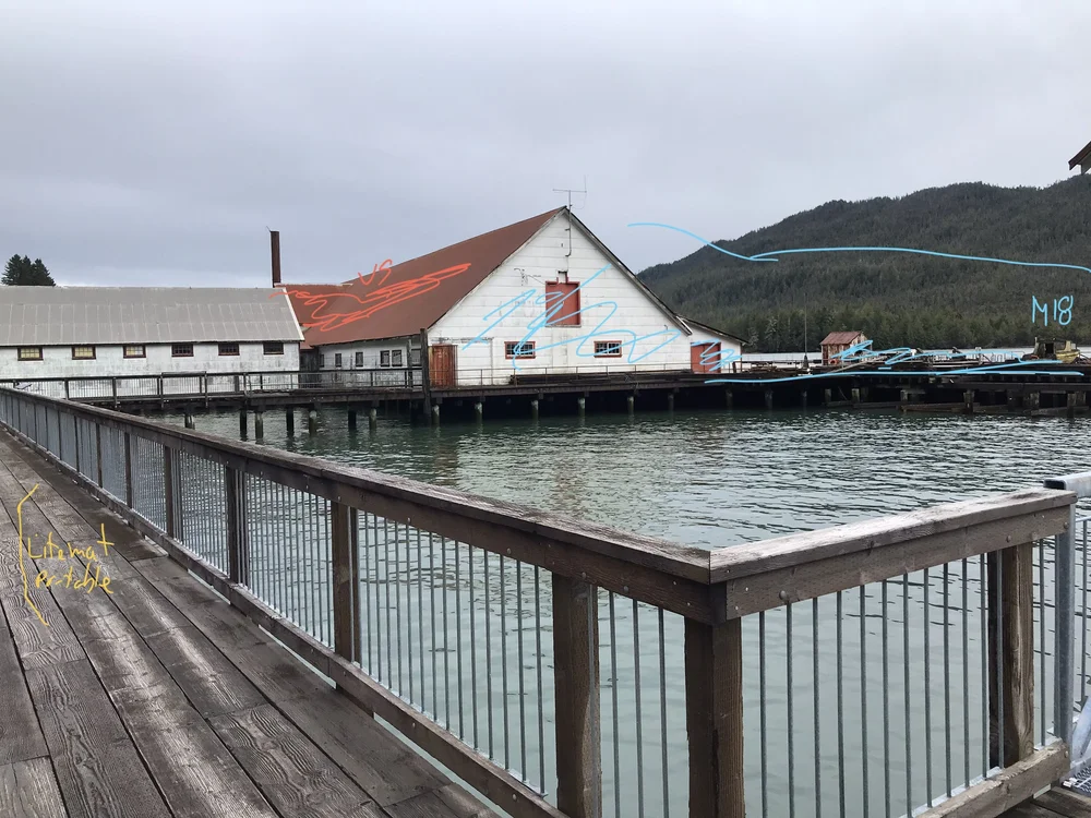 Scouting Cannery.10.jpeg