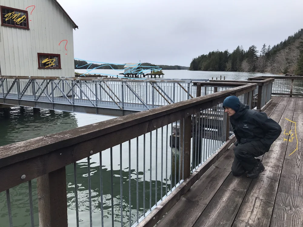 Scouting Cannery.11.jpeg