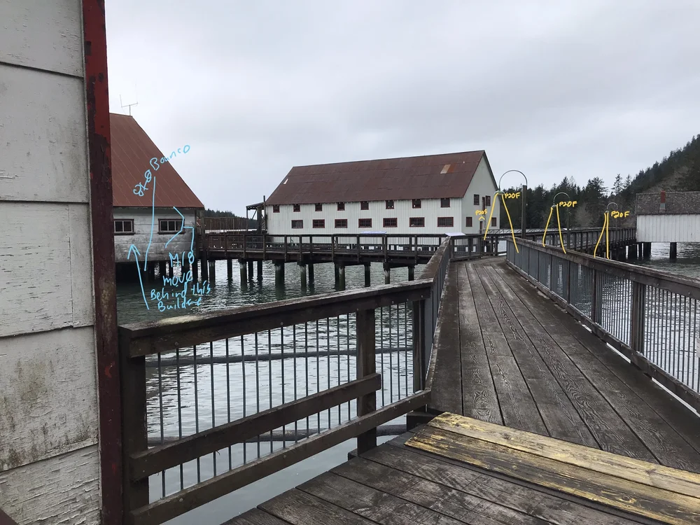 Scouting Cannery.12.jpeg